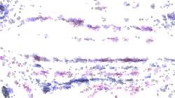 Sixth of 'reflets &mdash; paint synthesiser classic &mdash; 3.5 collection cloners 3'.