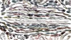 Third of 'reflets &mdash; paint synthesiser classic &mdash; users creative mac charcoal rubbing 1'.
