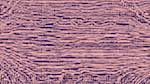 Fourth of 'reflets &mdash; msg &mdash; variations 2 c new 12'.