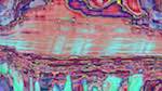 Seventh of 'reflets &mdash; msg &mdash; variations 2 c new 12'.