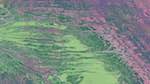 First of 'reflets &mdash; msg &mdash; variations 2 c new 14'.