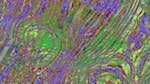 Sixth of 'reflets &mdash; msg &mdash; variations 2 c new 15'.