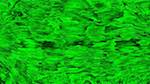 Fifth of 'reflets &mdash; texture synthesiser &mdash; default colourise'.
