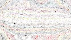 Second of 'reflets &mdash; paint synthesiser classic &mdash; paint styles crayon'.