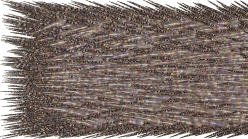 image: an image