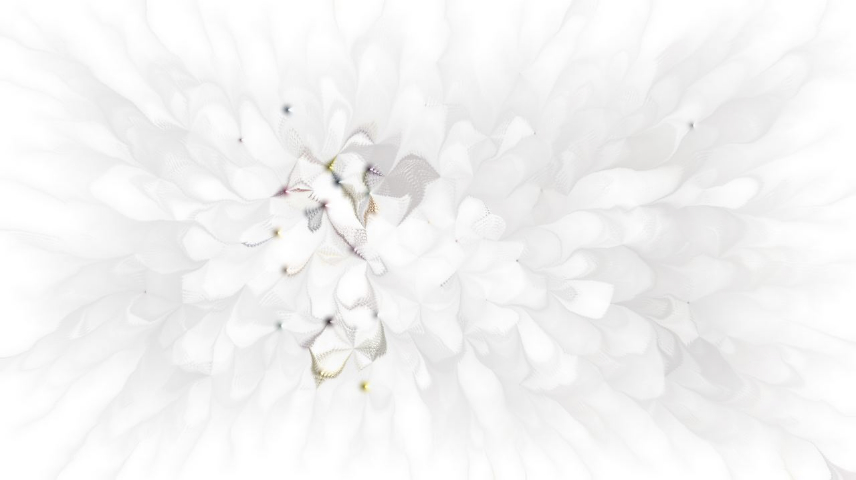 image: an image