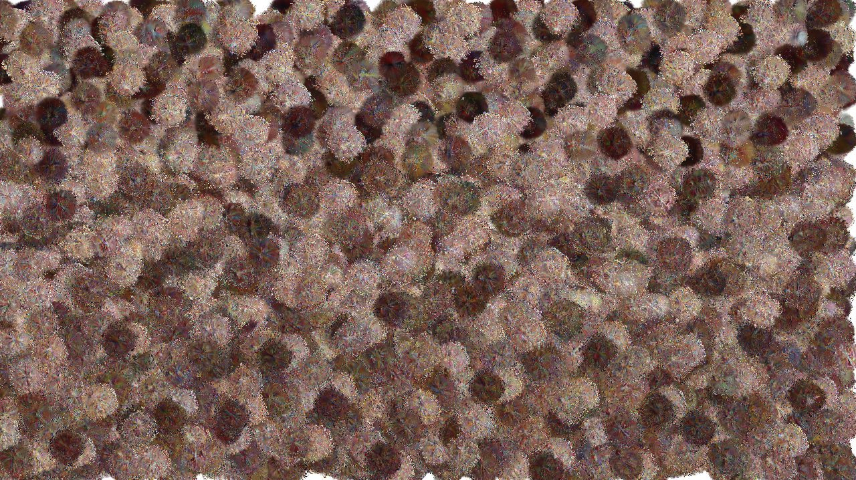 image: an image