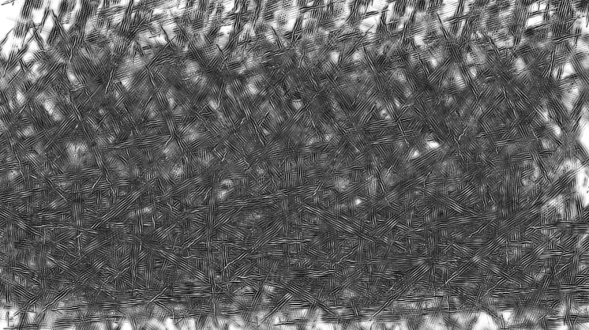image: an image