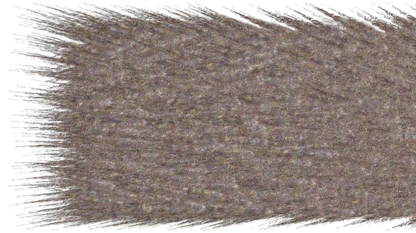 image: an image
