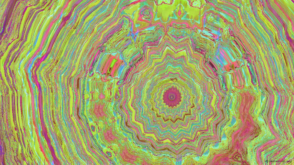 image: an image
