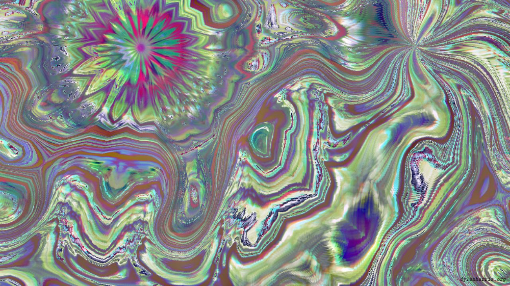 image: an image