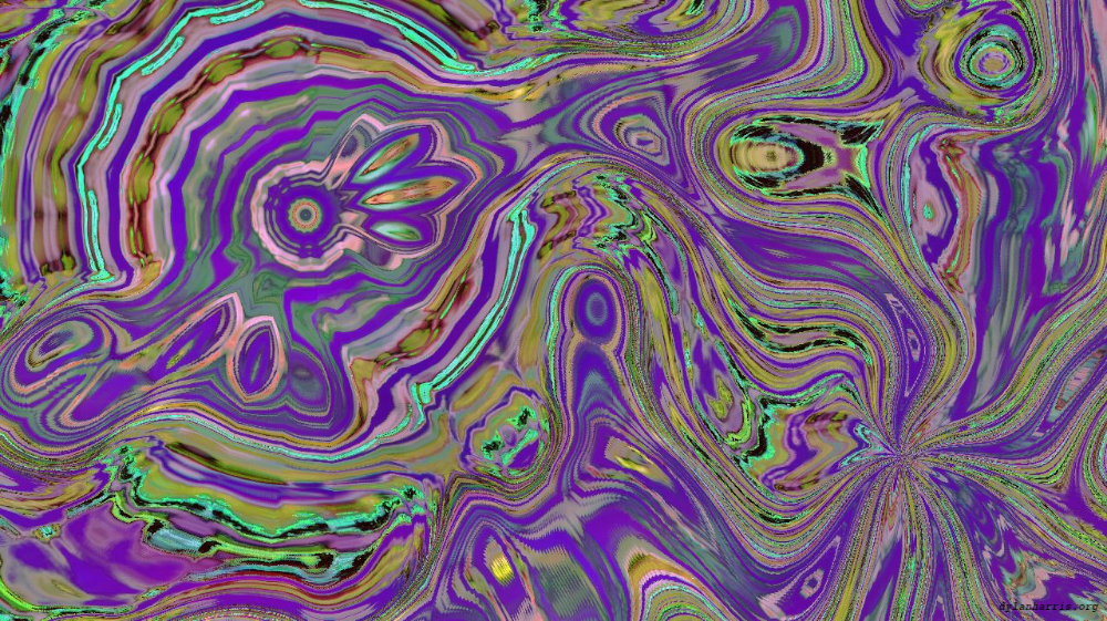 image: an image