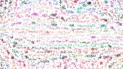 Second of 'reflets &mdash; paint synthesiser classic &mdash; 2.0 collection damp 2'.