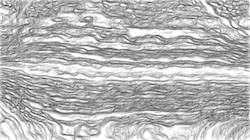 image: an image