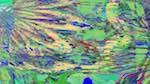 Seventh of 'reflets &mdash; msg &mdash; variations 1 d&ndash;new 1'.