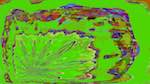 image: an image