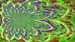 image: an image