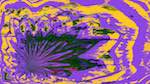 Second of 'reflets &mdash; msg &mdash; variations 1 d&ndash;new 4'.