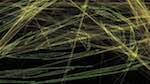 First of 'reflets &mdash; msg &mdash; abstract 1 dual fs 1'.