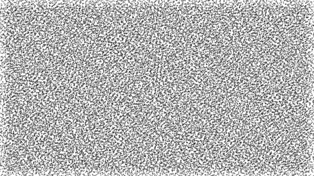 image: an image