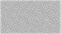 image: an image