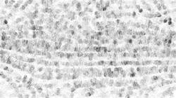 Third of 'reflets &mdash; paint synthesiser classic &mdash; 3.5 collection fizzy 2'.