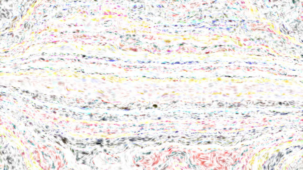 image: an image