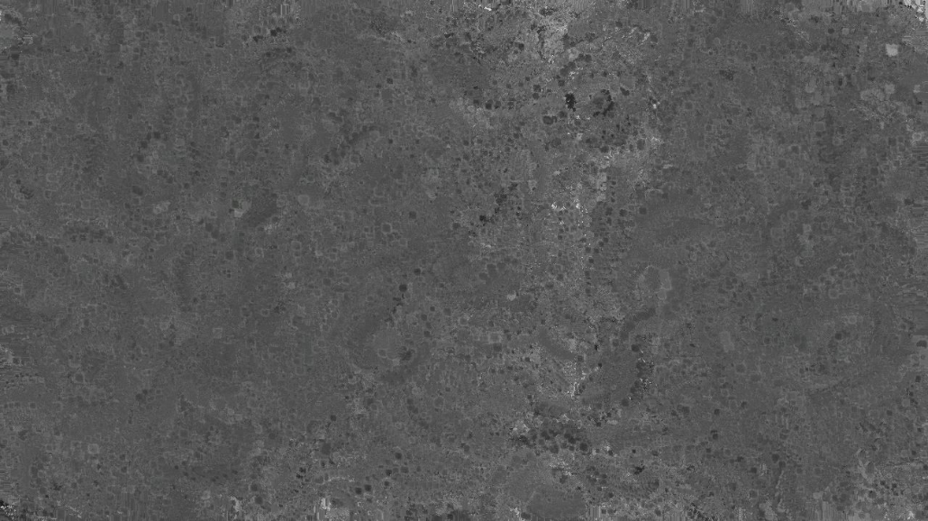 image: an image