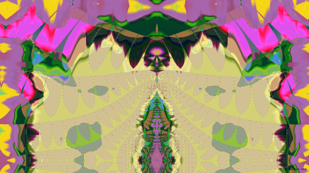 image: an image