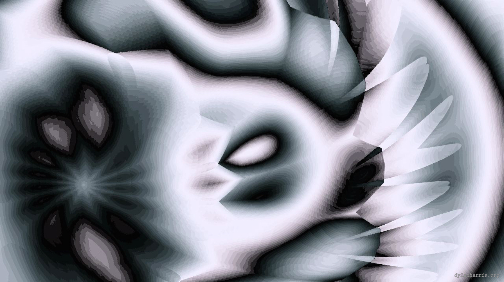 image: an image