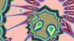 image: an image