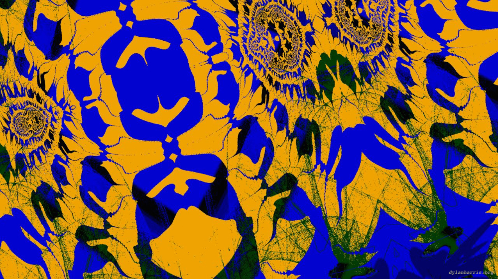 image: an image