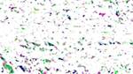 Second of 'reflets &mdash; paint action sequence &mdash; generative animate process'.