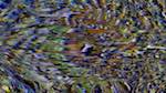 Fourth of 'reflets &mdash; texture synthesiser &mdash; default general 2'.
