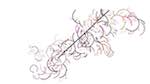 Sixth of 'reflets &mdash; paint action sequence &mdash; generative exp 1'.