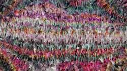 First of 'reflets &mdash; paint synthesiser classic &mdash; 3.5 collection gradient multinibs 6'.