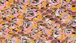 First of 'reflets &mdash; msg &mdash; variations 1 grid 4'.