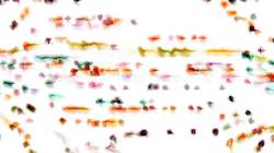 image: an image