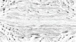 Second of 'reflets &mdash; paint synthesiser classic &mdash; paint styles granular textures'.