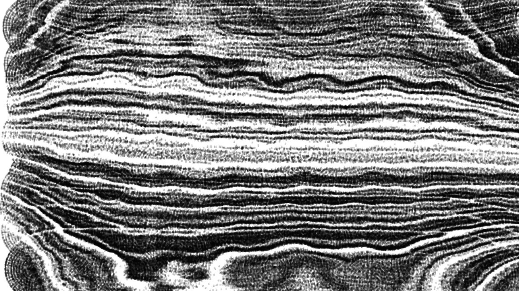 image: an image