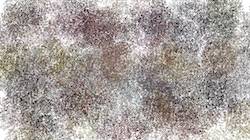 image: an image