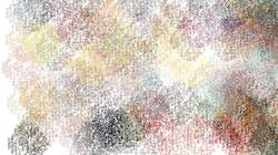image: an image