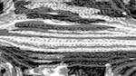 Sixth of 'reflets &mdash; msg &mdash; processing effects 0 head abstraction 10'.