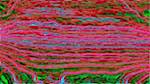 Sixth of 'reflets &mdash; msg &mdash; variations 0 head abstraction 1'.