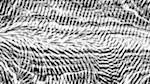 Fourth of 'reflets &mdash; msg &mdash; processing effects 0 head abstraction 4'.