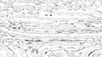 First of 'reflets &mdash; msg &mdash; processing effects 0 head abstraction 9'.
