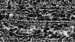 image: an image