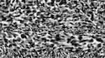 Second of 'reflets &mdash; paint synthesiser classic &mdash; users 1 hj maxset 20 2'.