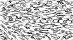 Second of 'reflets &mdash; paint synthesiser classic &mdash; users 1 hj maxset 29 2'.