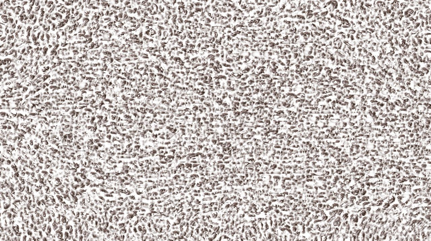 image: an image